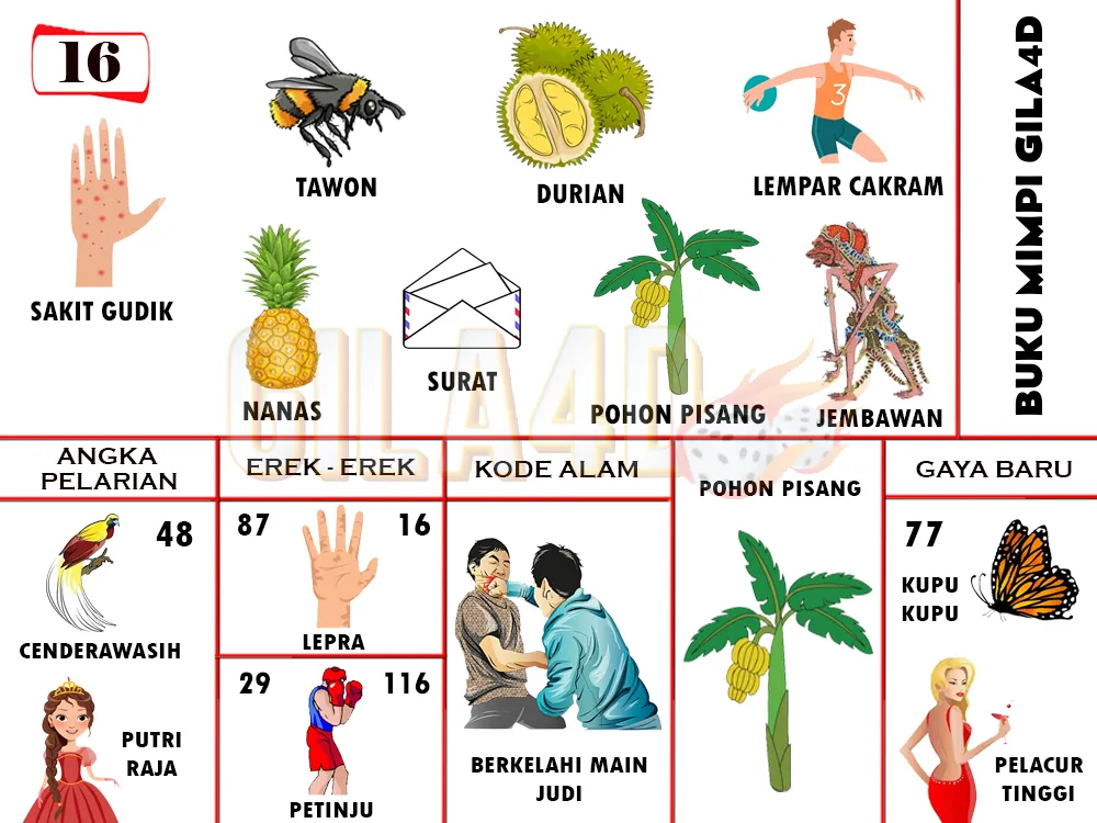 buku mimpi erek erek togel 16